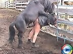 XXX Zoo video
