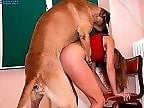 XXX Animal Porn