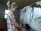 Zoophilia porn and animal sex