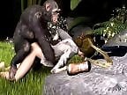 Animal porn and bestiality