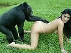 Beast Sex