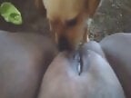 Beast Sex