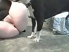 Zoo porn and zoo sex video