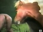ZOO Porn and bestiality tube