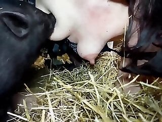Free zoo porn tube