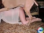 Zoo porn and zoo sex video