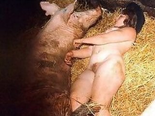 XXX Zoo video