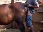 ZooPorno