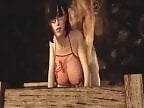 XXX Animal Porn