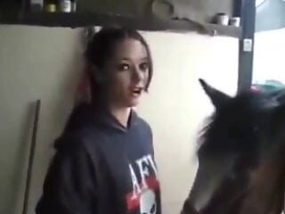 Pony animal sex