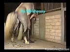 Zoo Phil