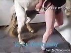 Dog Sex Zoo