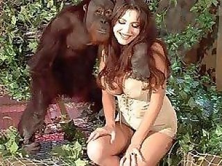 Sex With Monkey