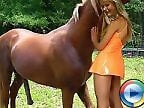 Animal porn and zoo sex