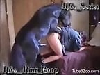 Animal porn and bestiality