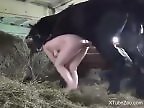 Animal porn videos and ZOO PORN