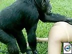 Animal porn videos and ZOO PORN