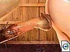 Free zoo porn tube