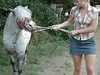 Animal Fuck