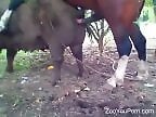 Zoo porn and zoo sex video