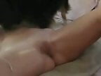 Zoo Porn Pro