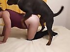 XXX Bestiality