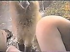 ZoophilClub