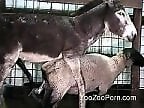 XXX Zoo video